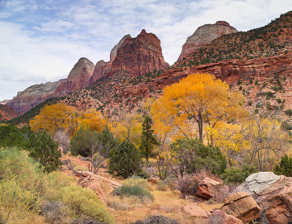 ZION_ENTRANCE-Zions-National-Park