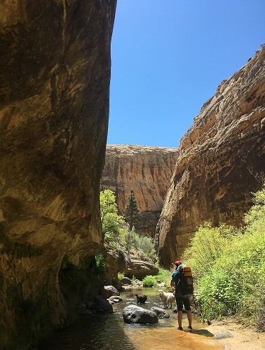 Grand Staircase-Escalante National Monument